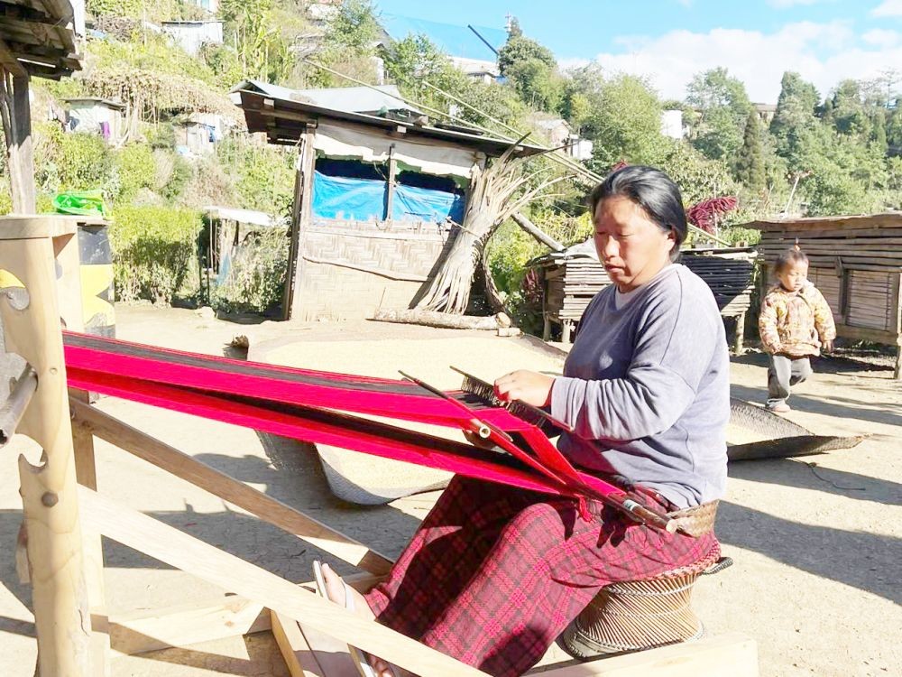 A woman weaves a shawl as she simultaneously tends to the sun-drying process of paddy grains on a traditional bamboo mat in Rukizü Colony, Pfutsero on December 16. The weaving of the shawl demands two days of focused dedication, it was informed, while the harvested rice undergoes 2-3 days of sun drying to eliminate excess moisture before being processed at a rice mill. The subsequent milling removes husk and bran layers, yielding edible, white rice. (Morung Photo)